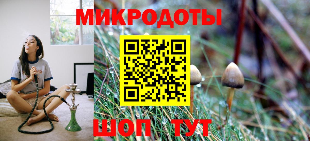 Псилоцибиновые грибы мухоморы Мурманск