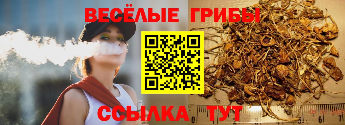 Псилоцибиновые грибы прущие грибы  Вход с VPN  Мурманск 